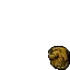 Lion Trophy